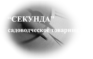 CT "Секунда"